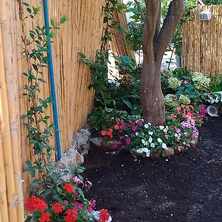 Nuida فندق كابري